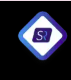 SoftRadix logo